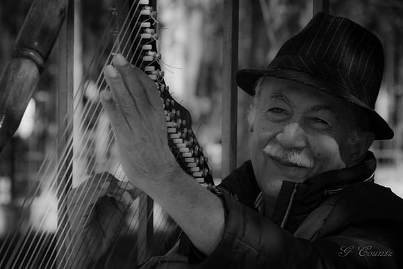 Harp Man