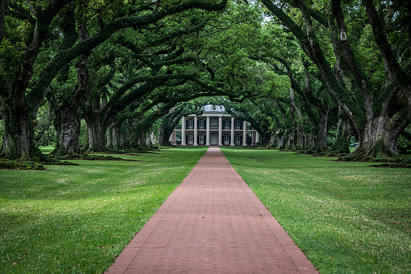 Plantation House, New Orleans