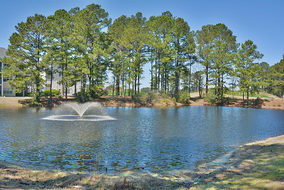 5030 Windsor Green Wy #203-30